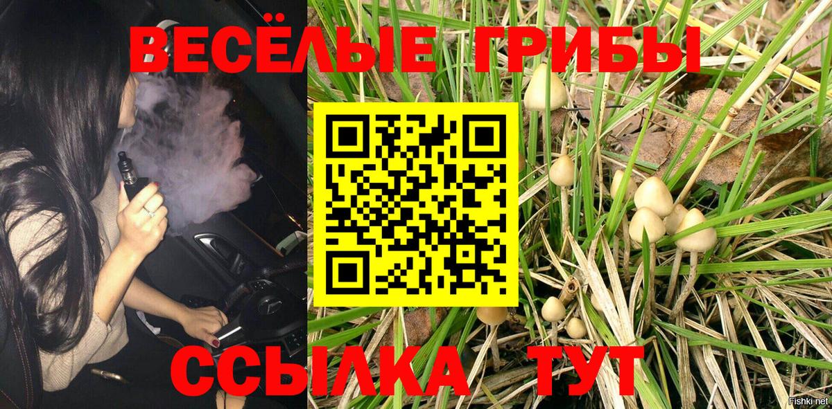 Галлюциногенные грибы мицелий Чебоксары