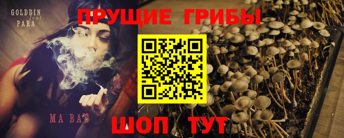 Чебоксары  Галлюциногенные грибы GOLDEN TEACHER  Псилоцибиновые грибы Magic Shrooms  Вход с VPN 